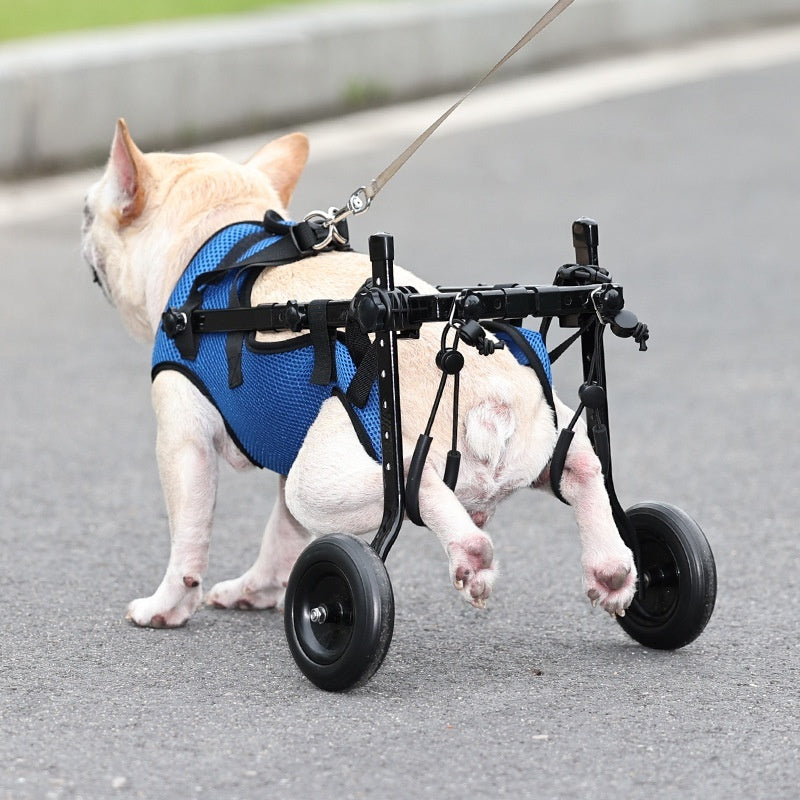 Silla de ruedas para perros con discapacidad