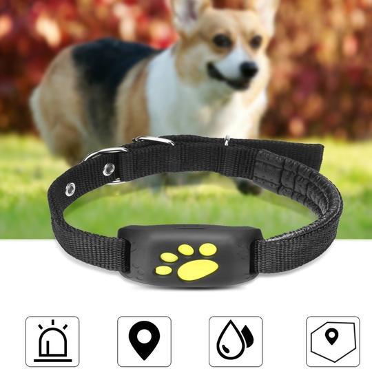 Rastreador GPS para mascotas