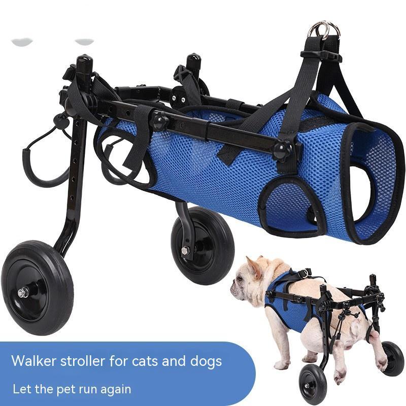 Silla de ruedas para perros con discapacidad